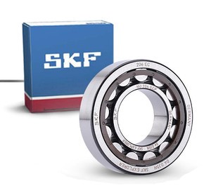 SKF N307ECP